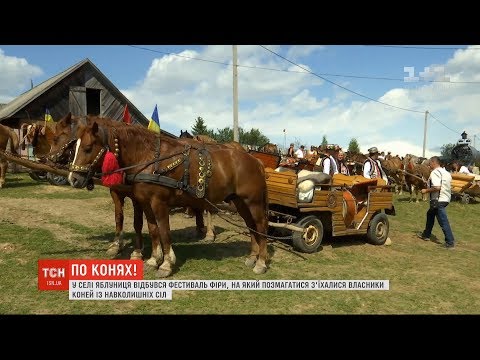 Як у горах влаштували “фірманський двіж”. ФОТО. ВІДЕО