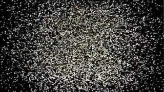 Projeto Alpha - vídeo 1