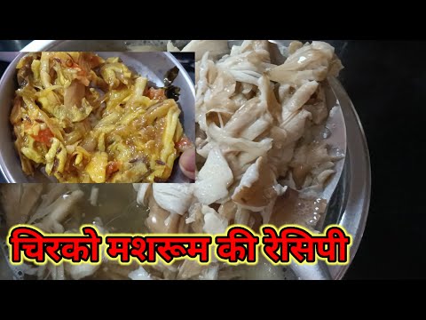 masrum ki recipe/चिरको मशरूम की रेसिपी ....       🥰🥰#  chirko masrumchirko nabane ka sahi tarika🍽