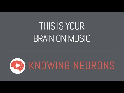 This is Your Brain on Music