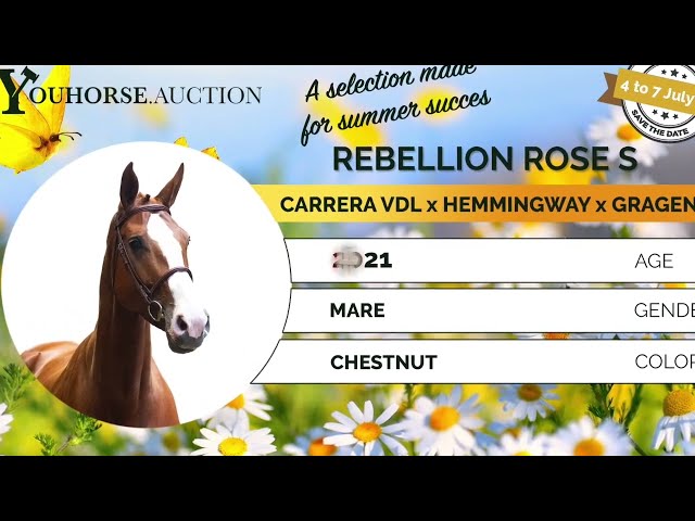 Rebellion Rose S showvideo indoor