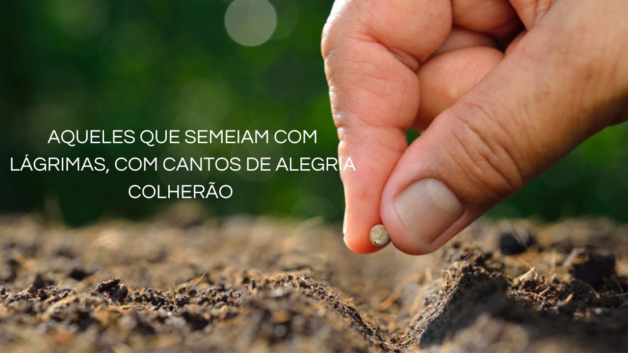 PROCESSO DE ESPERA VAI ME LEVAR A COLHEITA!