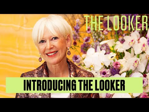 Welcome to The Looker