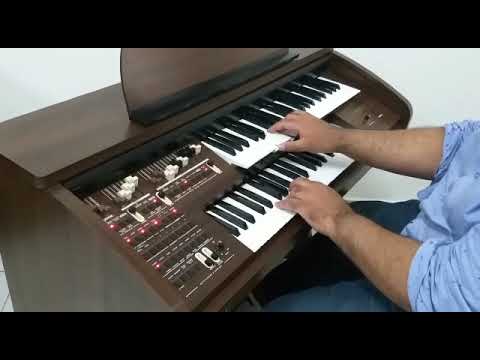 Orgão Eletronico Tokai Md 7  Loja Teclasom