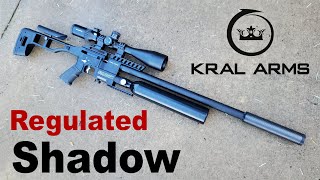 Kral Arms Shadow Review (Regulated) PCP Air Rifle
