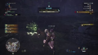 【MHW】今日も仲良し兄弟でモンハンワールド！［弟視点］