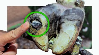 IMAGINE the RELIEF of having that removed!!!!