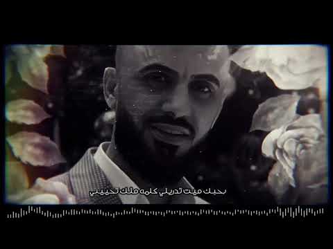 طير وساجني كامل يوسف
