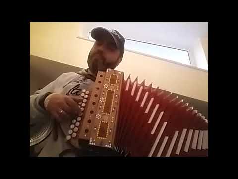 Tango stanco by Piergiuseppe Maggi Organetto