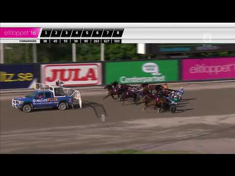 Elitloppet Final 2016, Nuncio