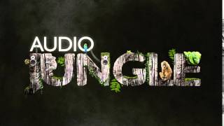 Music - A Fortunate Day | AudioJungle