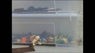 PMTV - Slechtste LEGO video OOIT gemaakt