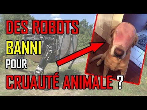 Des robots BANNIS pour cruauté animale !!!