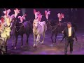 Flavio Togni Italy Horses 19th International Circus Festival Of Italy 2018