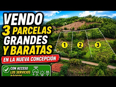 VENDO 3 PARCELAS😱 EN CANTON POTRERO SULA DISTRITO DE LA NUEVA CONCEPCIÓN 🥳