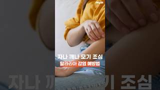 동영상 썸네일