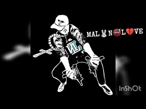 MALONOLOVE - SUICIDE GANG