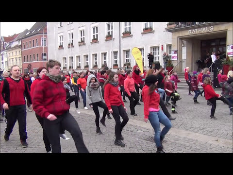 One Billion Rising 2016 Anklam II