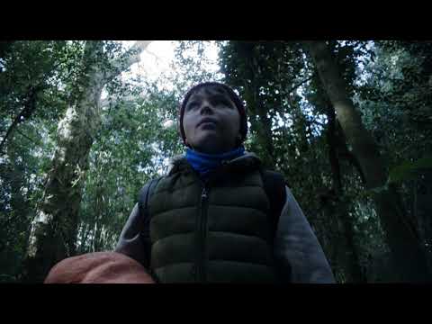 La Hora de la Siesta | Teaser Oficial 4k | CALAMBRE