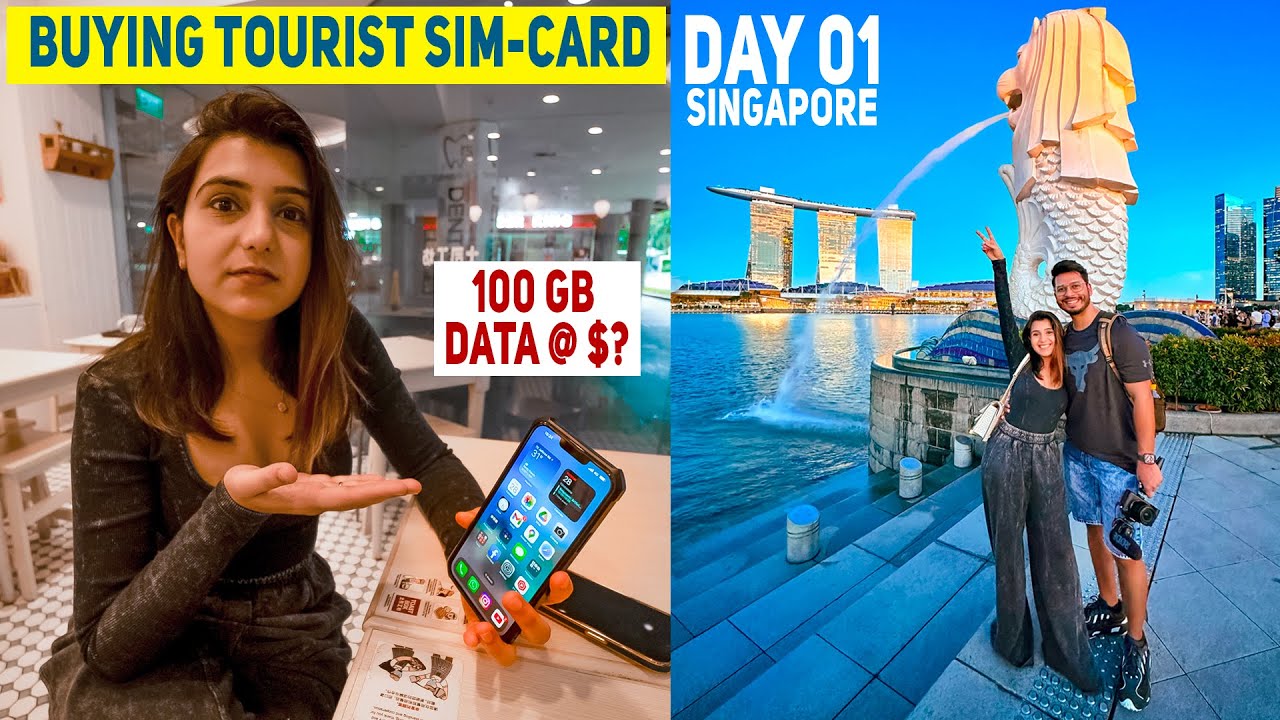 Witness the breathtaking sunset at Merlion Park alongside travelers in this video!