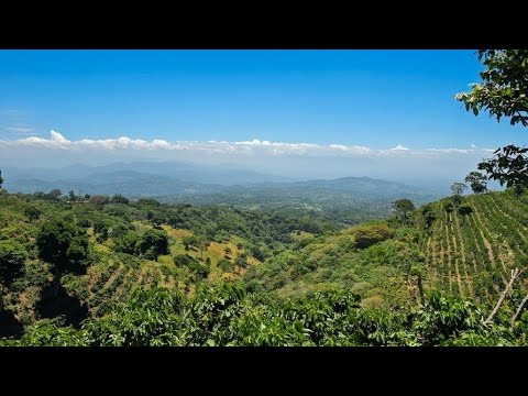 Finca el Porvenir El Refugio Santa Ana 