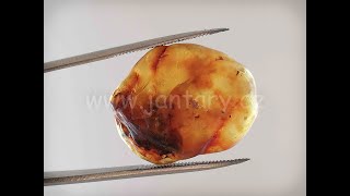 Okno do baltského jantaru PO-33