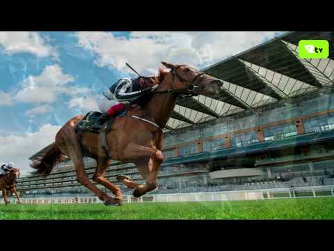 EVENING NEWS: Racing League: Jockeys Frankie Dettori & Hollie Doyle join team event