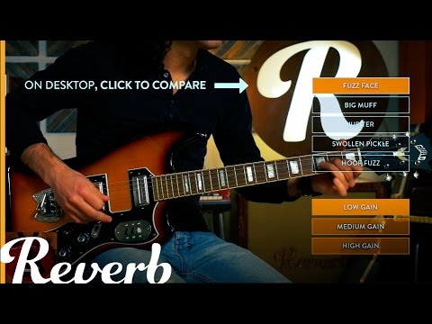 Fuzz Shootout: The 5 Most Popular Fuzz Pedals on Reverb | Reverb Demo
