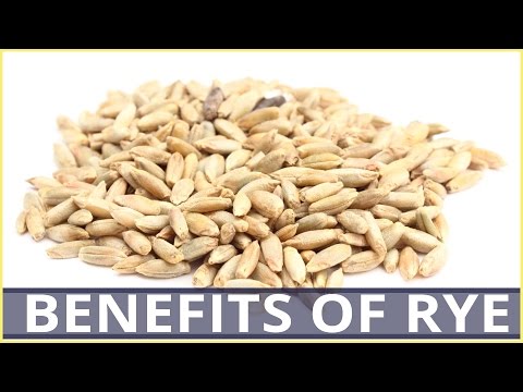 6 Best Health BENEFITS OF RYE CEREAL