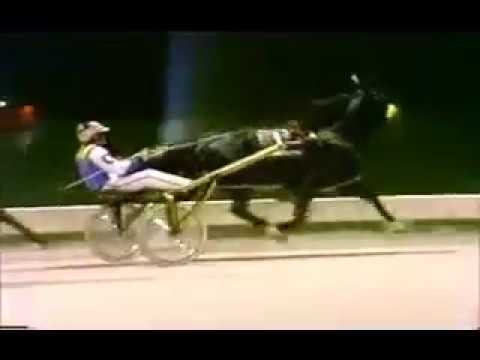 1988 Mohawk Raceway CAMTASTIC Breeders Crown 3yo C&G Pace