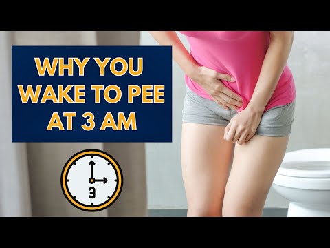 Why You Have to Pee At 3 A.M. – a Doctor Explains
