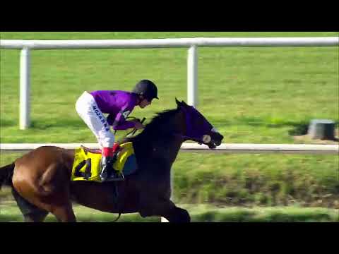 221202 c02 MAGIC AVENUE