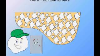 Particle Packing from a Rock’s Perspective