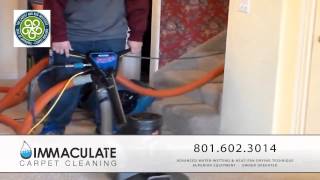 preview picture of video 'Immaculate Carpet Cleaning Alpine Utah'