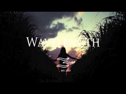 Lou Reed - A Walk On The Wild Side (Blutch Edit)