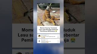 Download lagu Pasrah Amat Jadi Kucing 😭 mp3