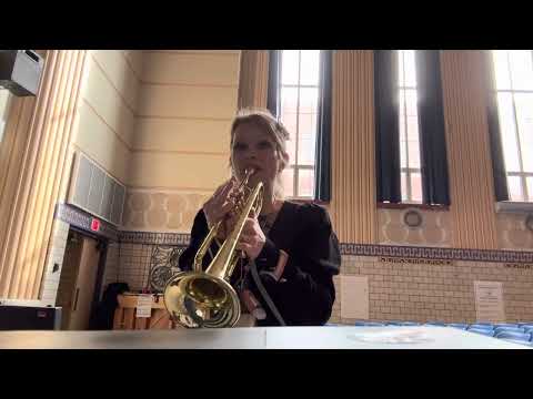 12 Bar B flat Blues Trumpet #blues #improvisation #12barblues #trumpet #musiclessons #jazz