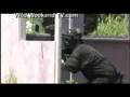 WildWeekendTV Com Ultimate Paintball