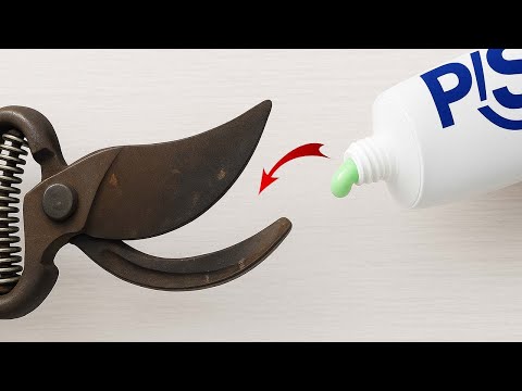 Kuinka teroittaa oksasakset partaveitsen terävyyteen vain 5 minuutissa! Hieno idea WELD VTQ:lta