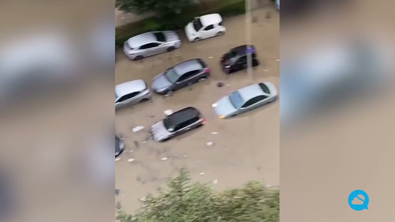 youtube video id=JanEL6NcUWU