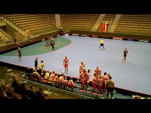 170208 Herrar Div1 Västra Götaland Partille IBS - Pixbo Wallenstam IBF (9-4) HD Per3A