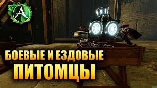 Список всех боевых питомцев в ArcheAge