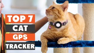 7 Best GPS Trackers for Cats – Never Lose Your Cat Again