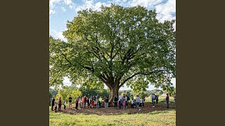 If you divide a cake called fusion into eight equal parts,