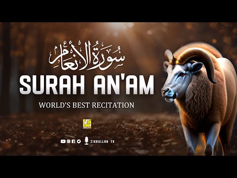 Surah Al An'am (سورة الأنعام) | Heart touching really beautiful voice | Zikrullah TV