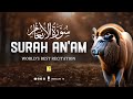 Surah Al An'am (سورة الأنعام) | Heart touching really beautiful voice | Zikrullah TV