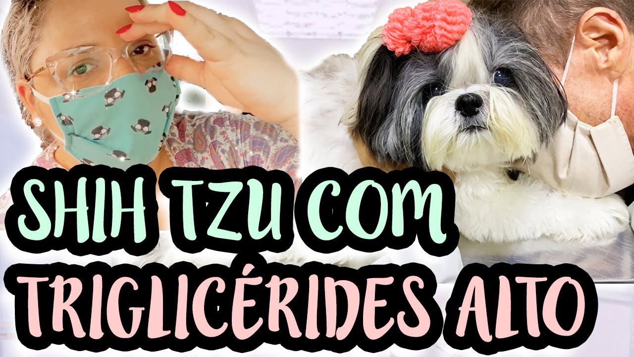 REVISÃO E RETORNOS DE MELLY PARA ACOMPANHAR TRIGLICERÍDEOS ALTO E PRESSÃO OCULAR ALTA || LÓI CÚRCIO