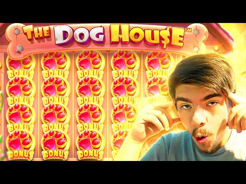 This BONUS BUY Saved the WHOLE VIDEO on DOG HOUSE MEGAWAYS!