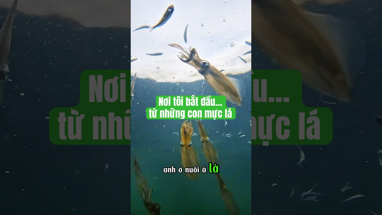 ngày 12 tháng 8, 2025