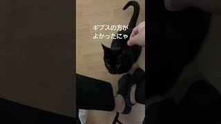 【黒猫】ギプスのままの方がよかったですか？🥲